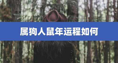 属狗人鼠年运程如何