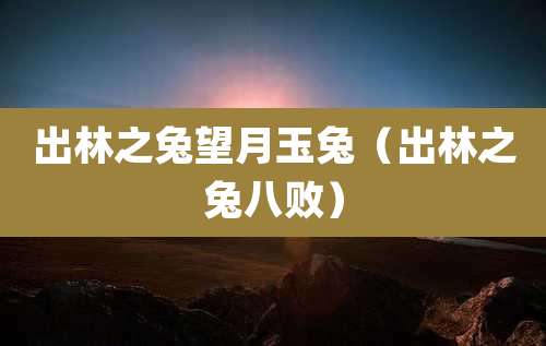 出林之兔望月玉兔（出林之兔八败）