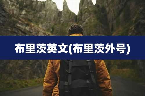 布里茨英文(布里茨外号)