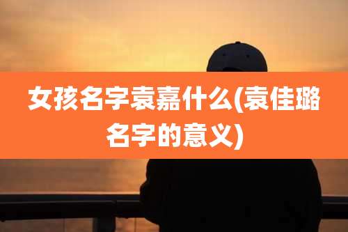 女孩名字袁嘉什么(袁佳璐名字的意义)