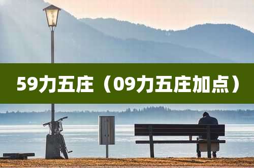 59力五庄(09力五庄加点)