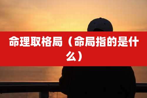 命理取格局(命局指的是什么)