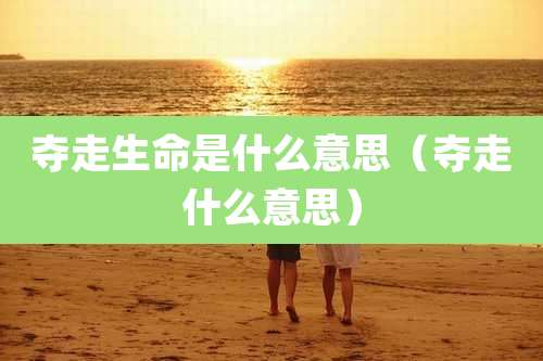 夺走生命是什么意思（夺走什么意思）