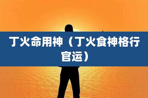 丁火命用神（丁火食神格行官运）