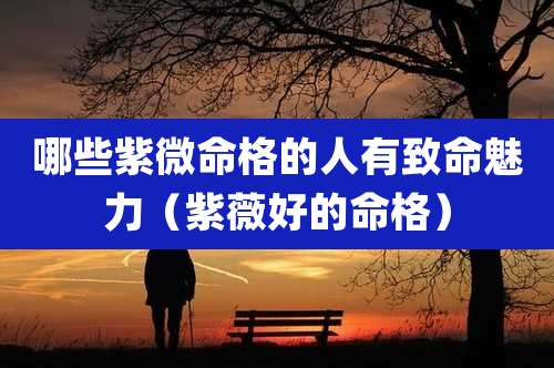 哪些紫微命格的人有致命魅力（紫薇好的命格）