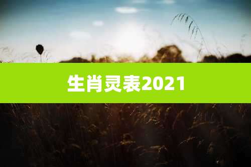生肖灵表2021