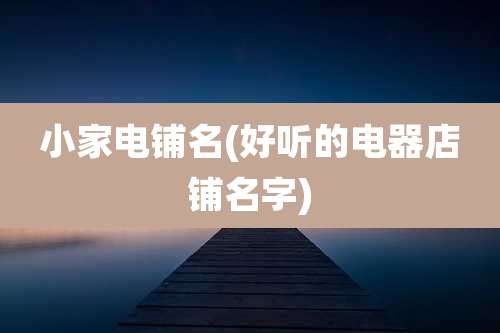 小家电铺名(好听的电器店铺名字)