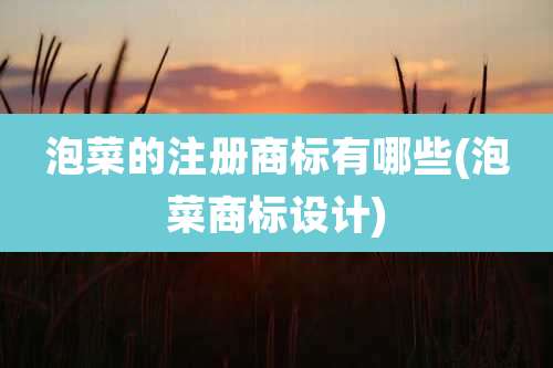 泡菜的注册商标有哪些(泡菜商标设计)