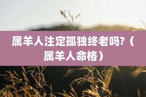 属羊人注定孤独终老吗?(属羊人命格)