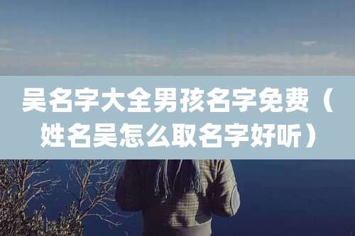 吴名字大全男孩名字免费(姓名吴怎么取名字好听)