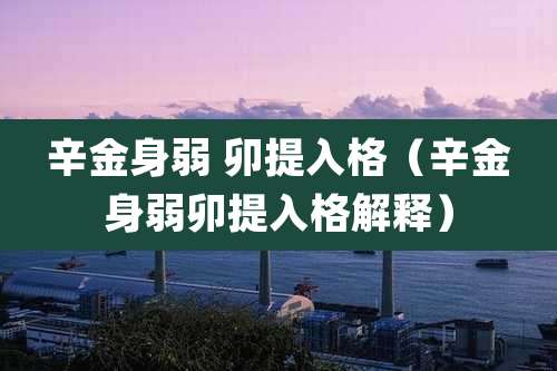 辛金身弱 卯提入格(辛金身弱卯提入格解释)