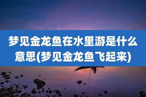 梦见金龙鱼在水里游是什么意思(梦见金龙鱼飞起来)