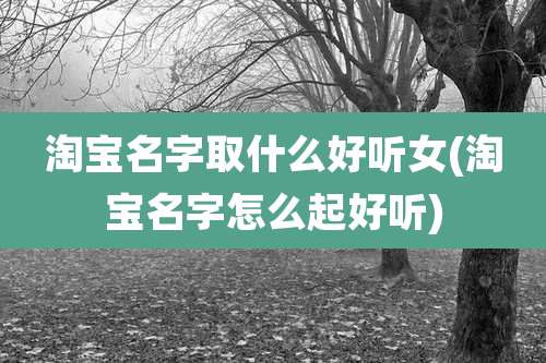淘宝名字取什么好听女(淘宝名字怎么起好听)