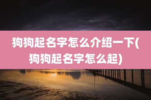 狗狗起名字怎么介绍一下(狗狗起名字怎么起)