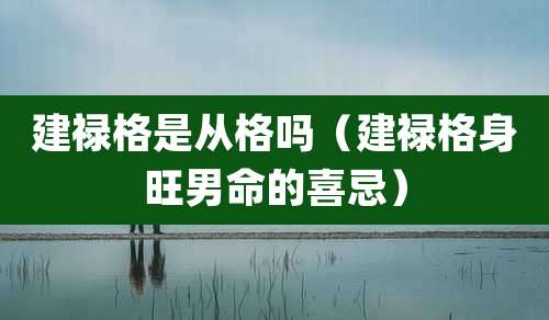 建禄格是从格吗（建禄格身旺男命的喜忌）