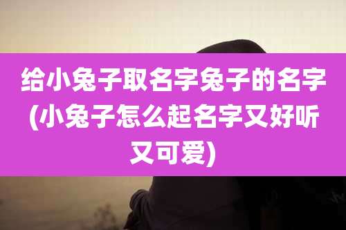 给小兔子取名字兔子的名字(小兔子怎么起名字又好听又可爱)