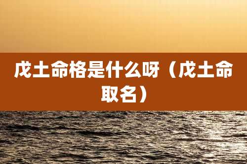 戊土命格是什么呀（戊土命取名）