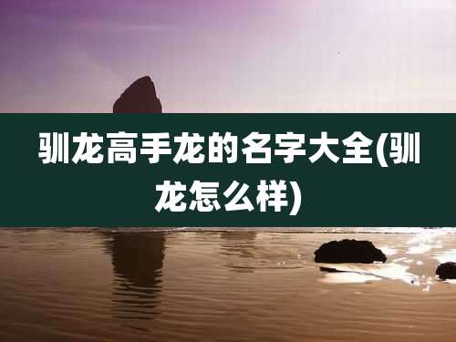 驯龙高手龙的名字大全(驯龙怎么样)