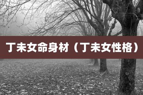 丁未女命身材（丁未女性格）