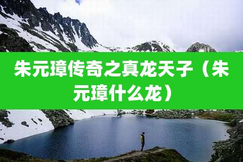 朱元璋传奇之真龙天子(朱元璋什么龙)