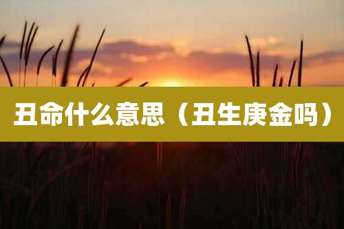 丑命什么意思(丑生庚金吗)