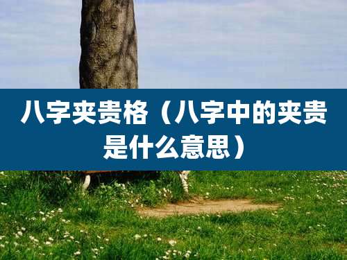 八字夹贵格（八字中的夹贵是什么意思）