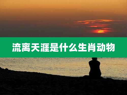 流离天涯是什么生肖动物