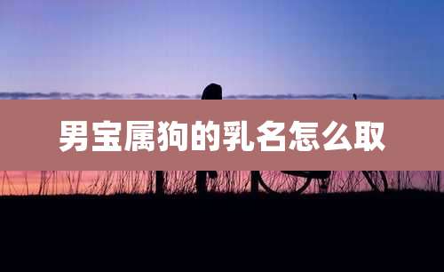 男宝属狗的乳名怎么取