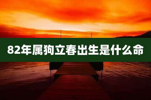 82年属狗立春出生是什么命