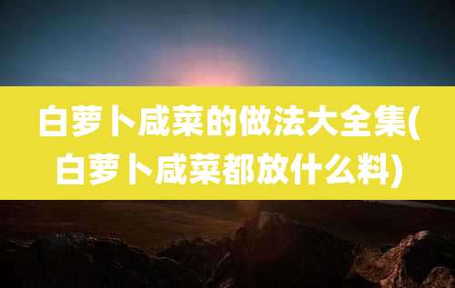 白萝卜咸菜的做法大全集(白萝卜咸菜都放什么料)
