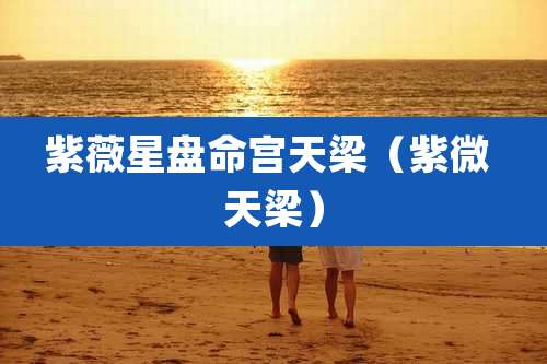 紫薇星盘命宫天梁（紫微 天梁）