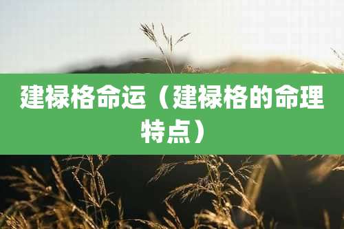 建禄格命运（建禄格的命理特点）
