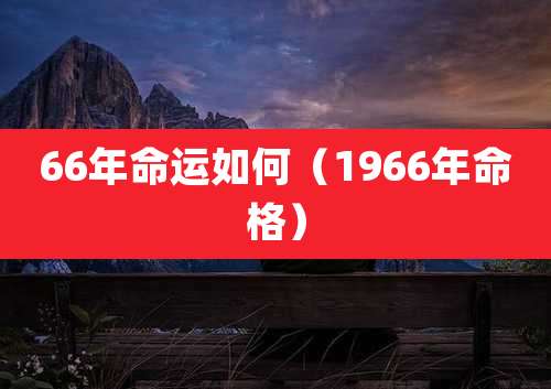 66年命运如何(1966年命格)