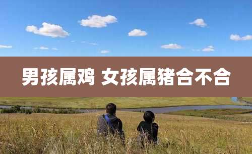 男孩属鸡 女孩属猪合不合