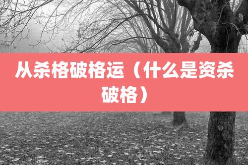 从杀格破格运(什么是资杀破格)