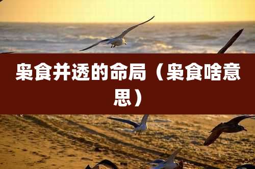 枭食并透的命局（枭食啥意思）