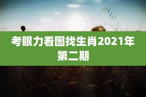 考眼力看图找生肖2021年第二期