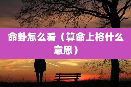 命卦怎么看(算命上格什么意思)