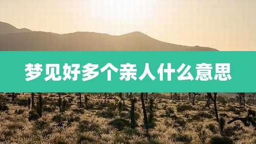 梦见好多个亲人什么意思