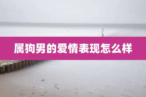 属狗男的爱情表现怎么样