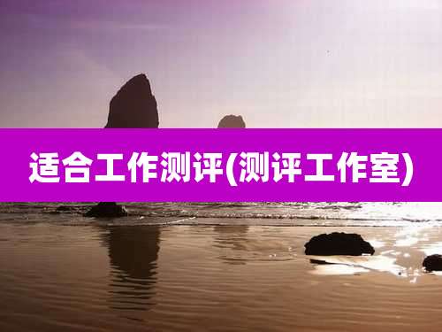 适合工作测评(测评工作室)