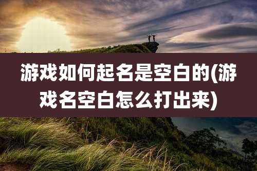 游戏如何起名是空白的(游戏名空白怎么打出来)