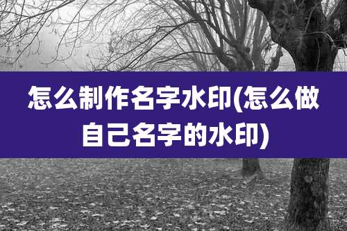 怎么制作名字水印(怎么做自己名字的水印)