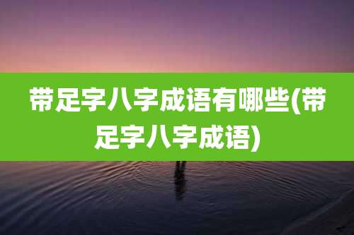 带足字八字成语有哪些(带足字八字成语)