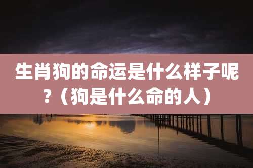 生肖狗的命运是什么样子呢?(狗是什么命的人)