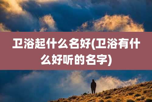 卫浴起什么名好(卫浴有什么好听的名字)