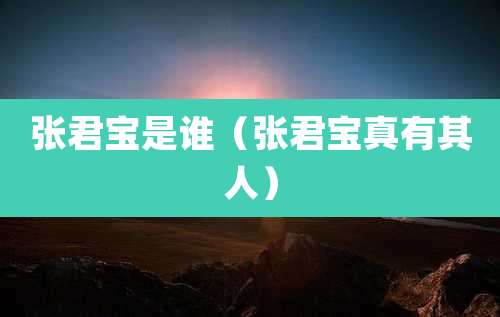 张君宝是谁(张君宝真有其人)