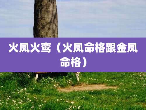 火凤火鸾(火凤命格跟金凤命格)