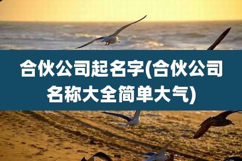合伙公司起名字(合伙公司名称大全简单大气)