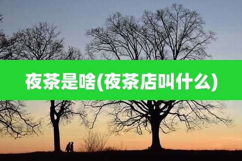 夜茶是啥(夜茶店叫什么)